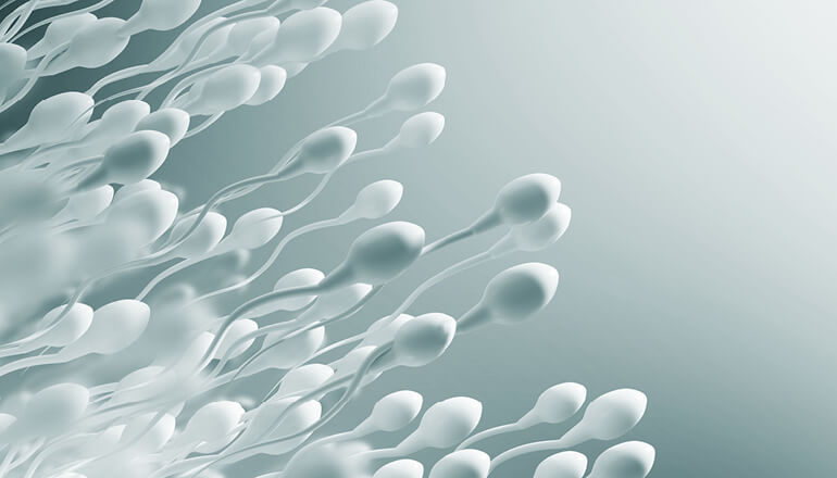 Samenqualität, Wunschkind Klinik Dr. Brunbauer